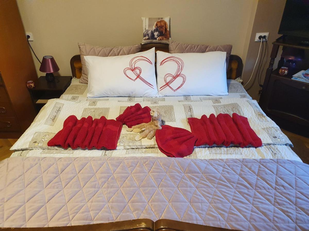 Guest House Jasmin ニシュカ・バニャ エクステリア 写真