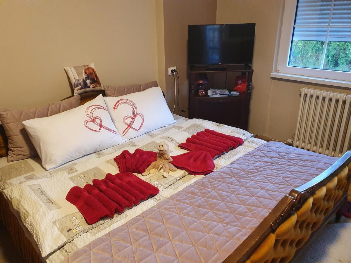 Guest House Jasmin ニシュカ・バニャ エクステリア 写真